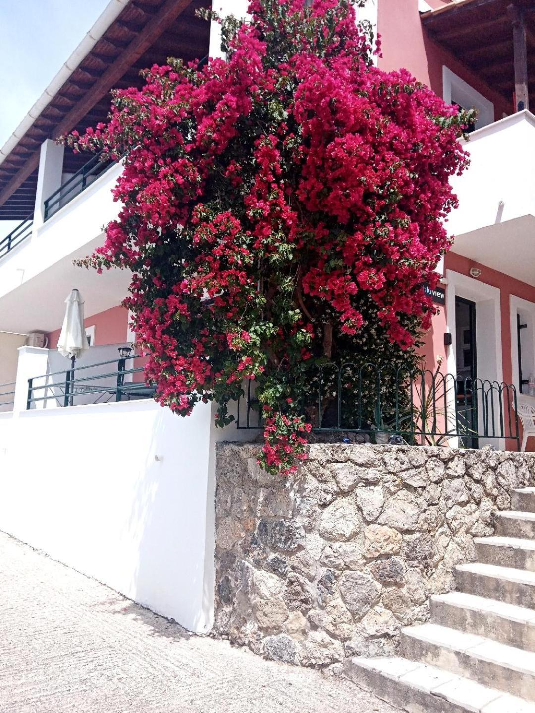 Bluview, Glyfada, Corfu Apartment Glyfada (Corfu)